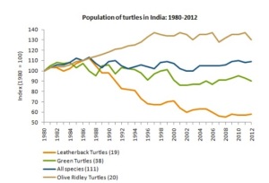 ielts line graph turtles1