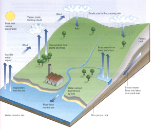 water cycle ielts diagram